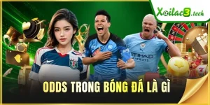 Odds Trong Bóng Đá